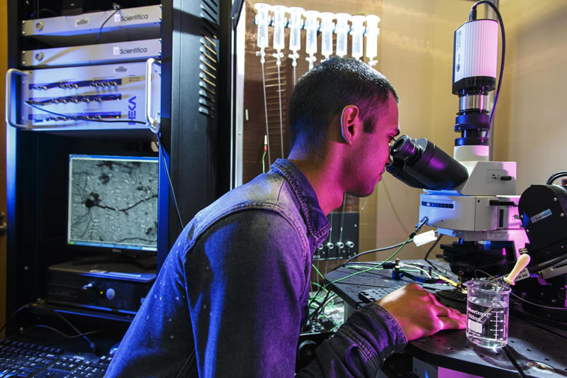 Electrophysiology microscopy imaging vibration isolation