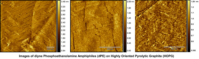 STM Microscope Nanoscopic Phosphoethanalamine Amphihiles Vibration Isolation Images